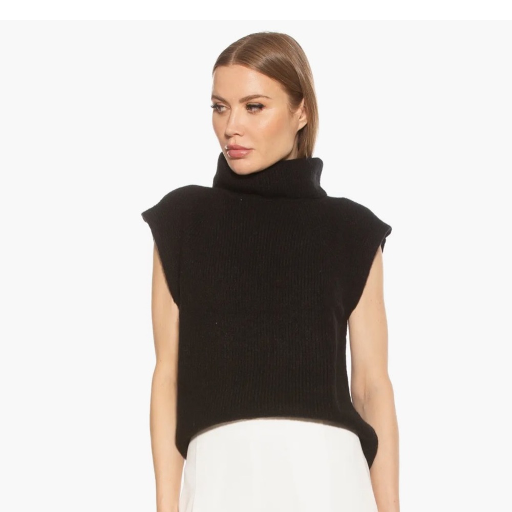 Alexia Admor Black Jaylani Sleeveless Turtleneck Sweater
